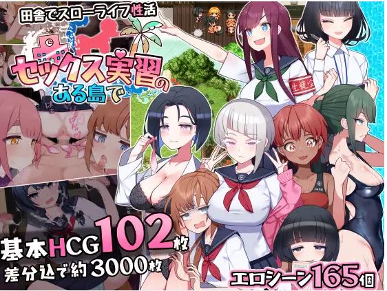 【电脑+安卓/日式RPG/ai汉化】在一个接受性训练的岛屿上【1.39G】