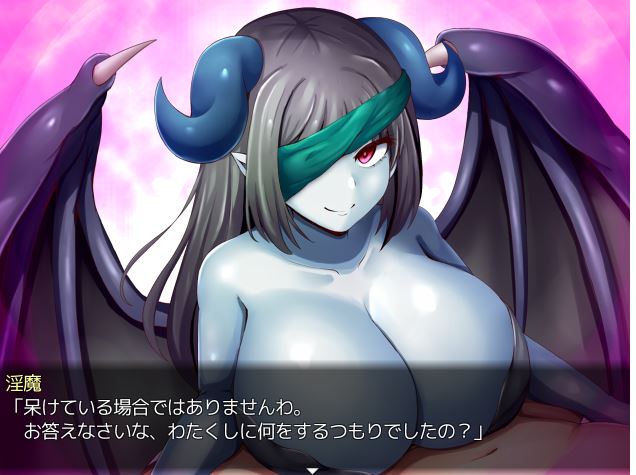 [电脑/精品RPG/更新官中/无码] 淫魔枪戏2 淫魔銃戯2 官中步兵版[1G]
