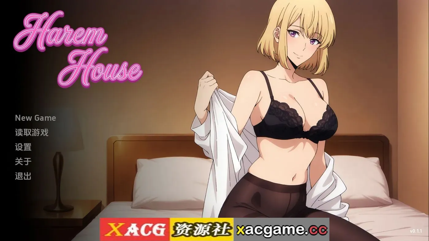 【同人SLG】后宫之家v0.1.1 AI版【PC+安卓/438M/更新/汉化/动态】(别名:后宫屋)